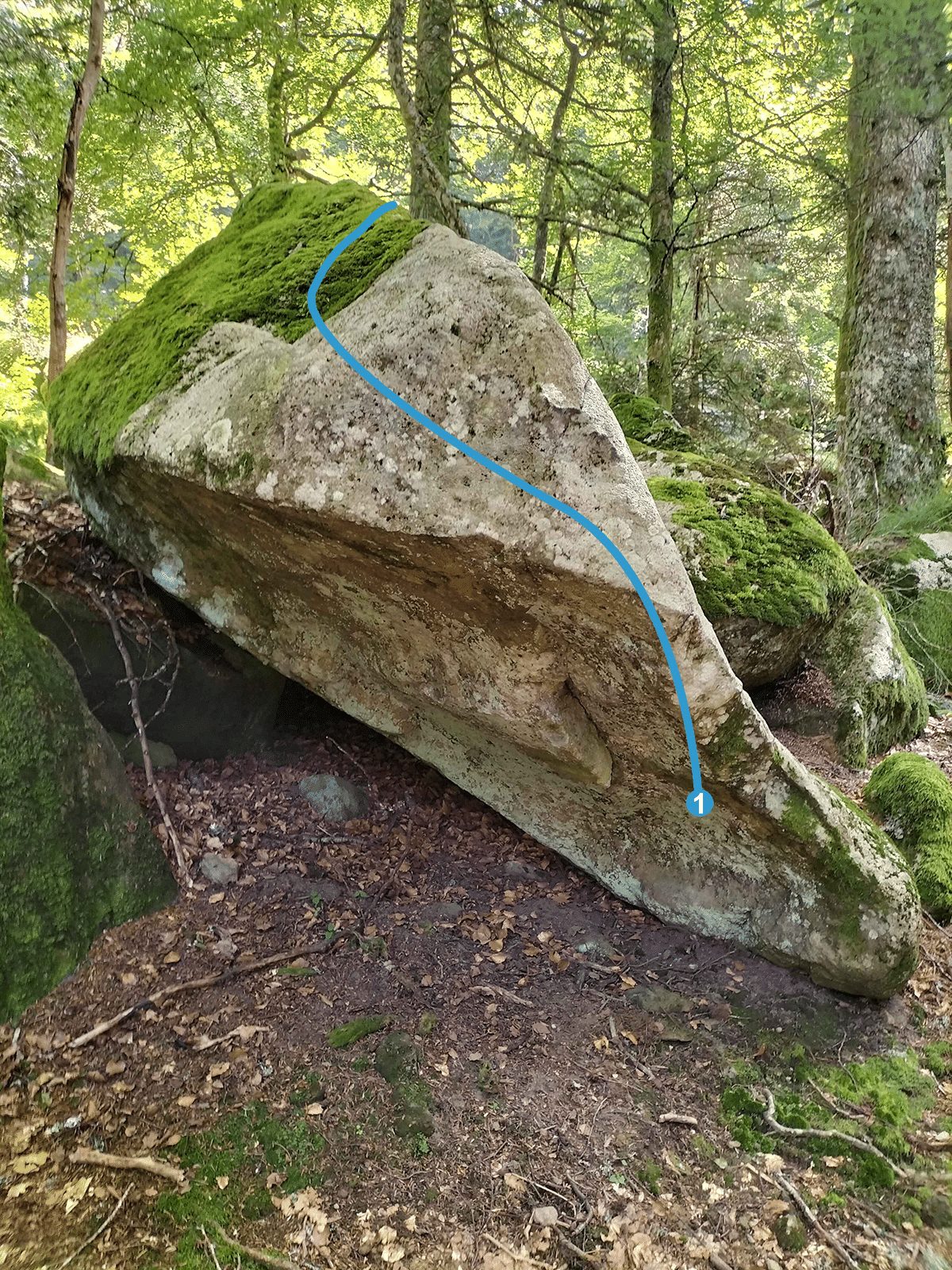 Photo de la voie