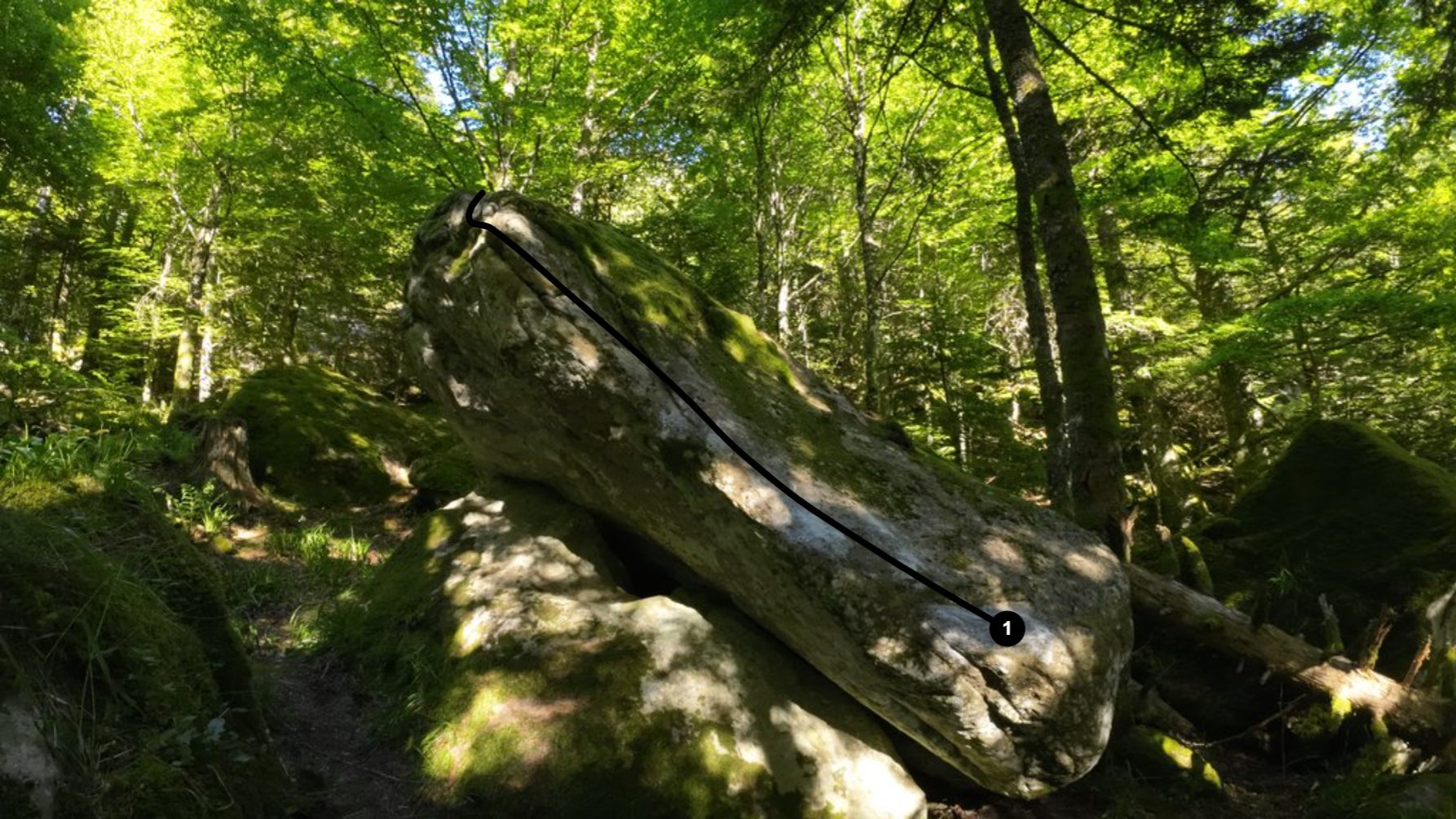 Photo de la voie