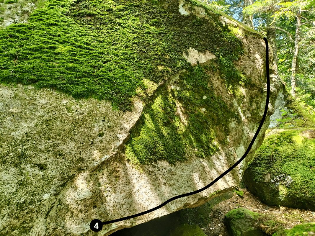 Photo de la voie