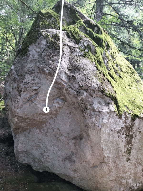 Photo de la voie