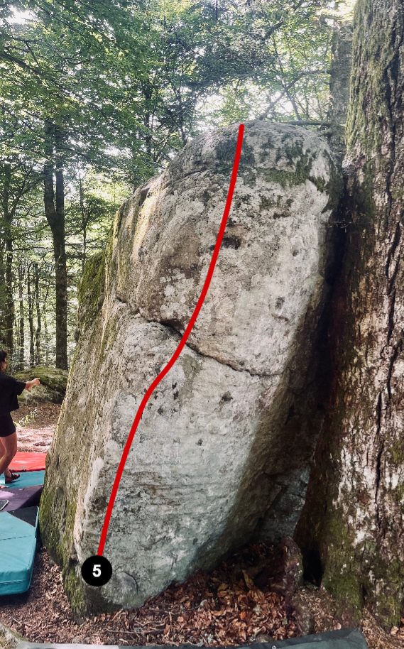 Photo de la voie