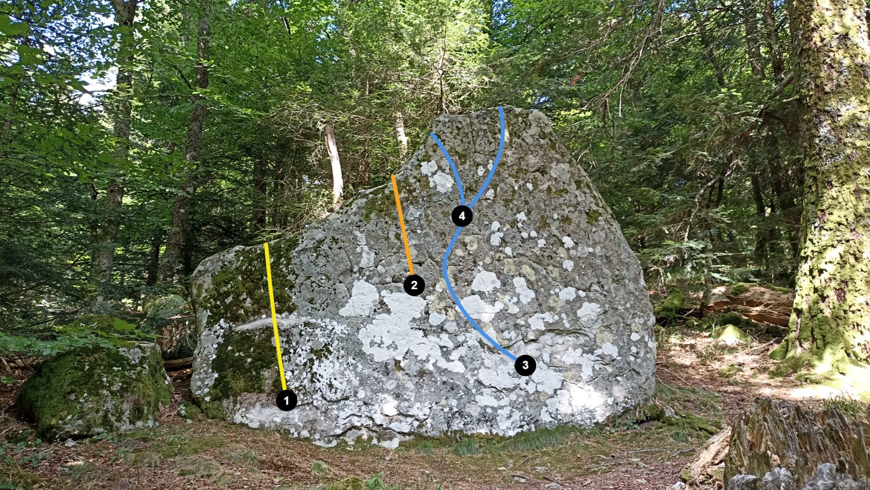 Photo de la voie