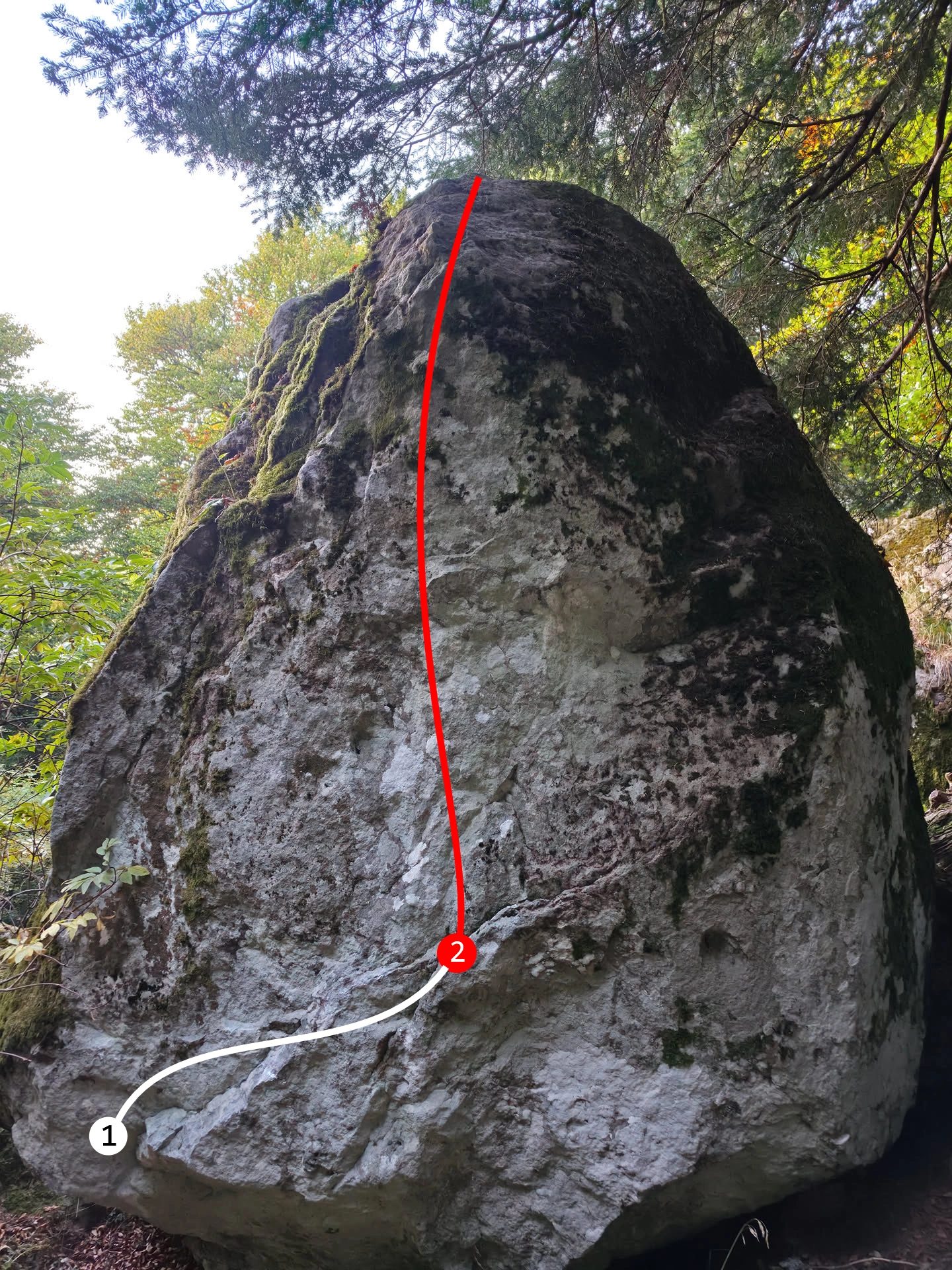 Photo de la voie