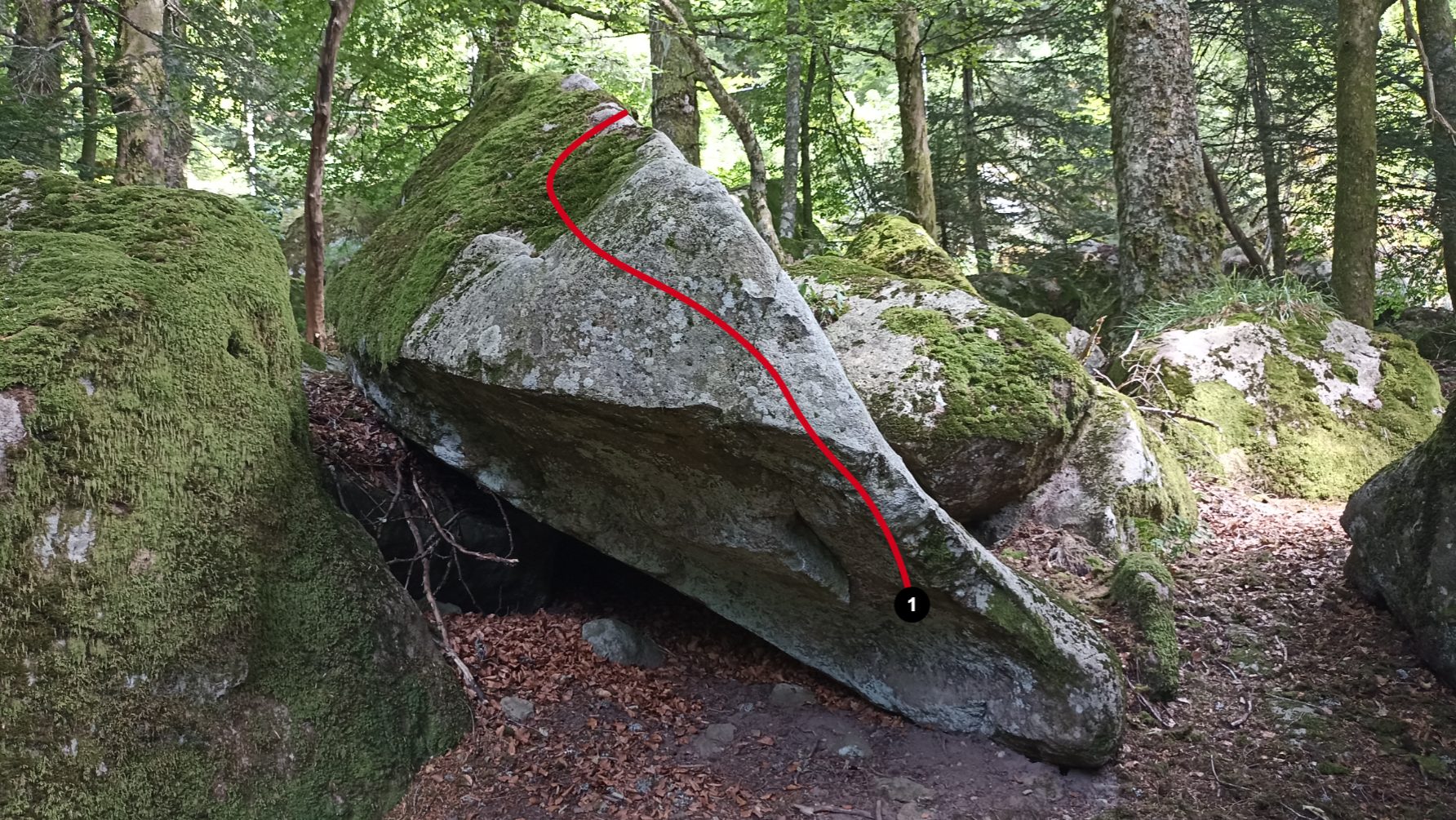 Photo de la voie
