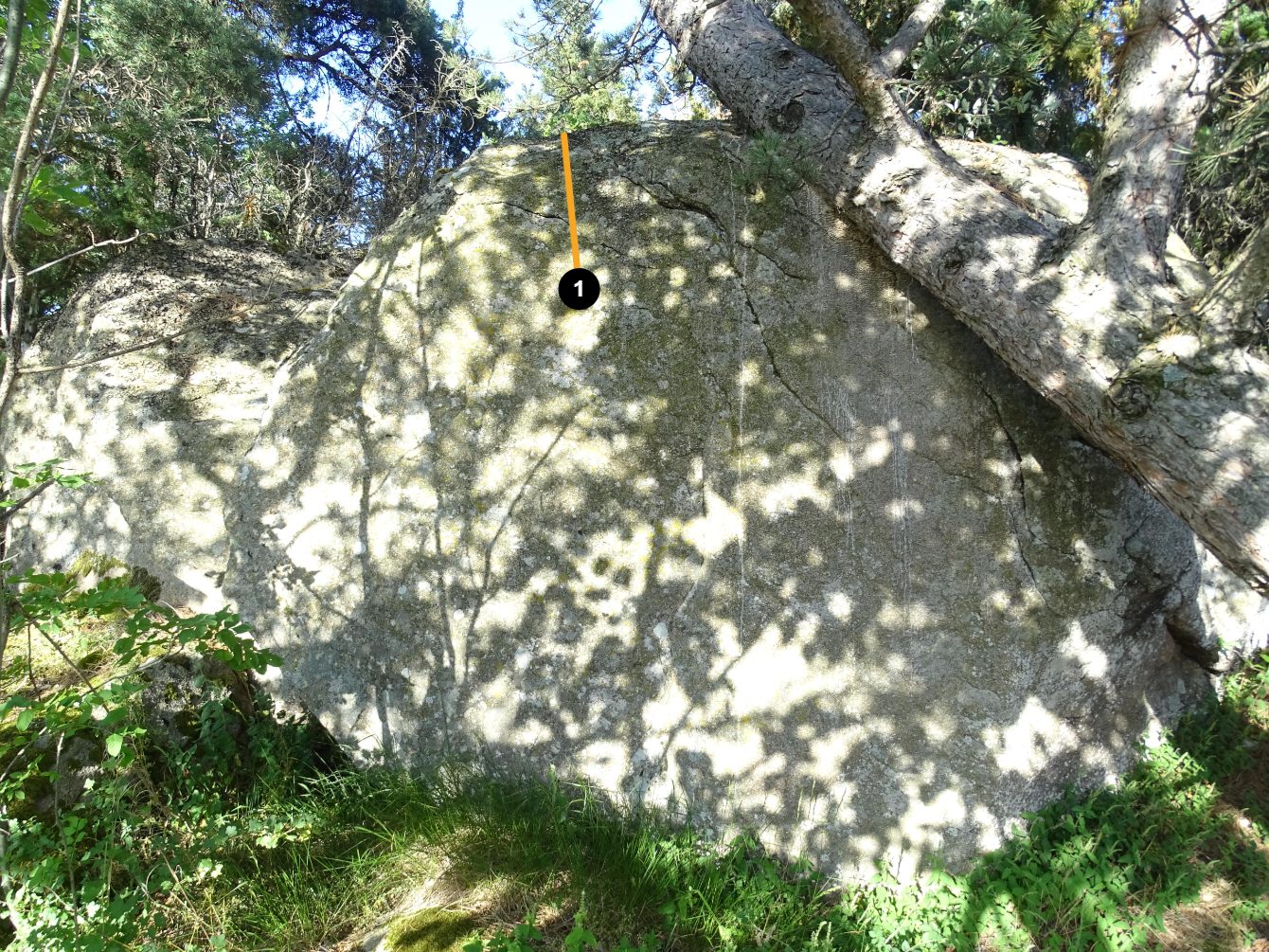 Photo de la voie