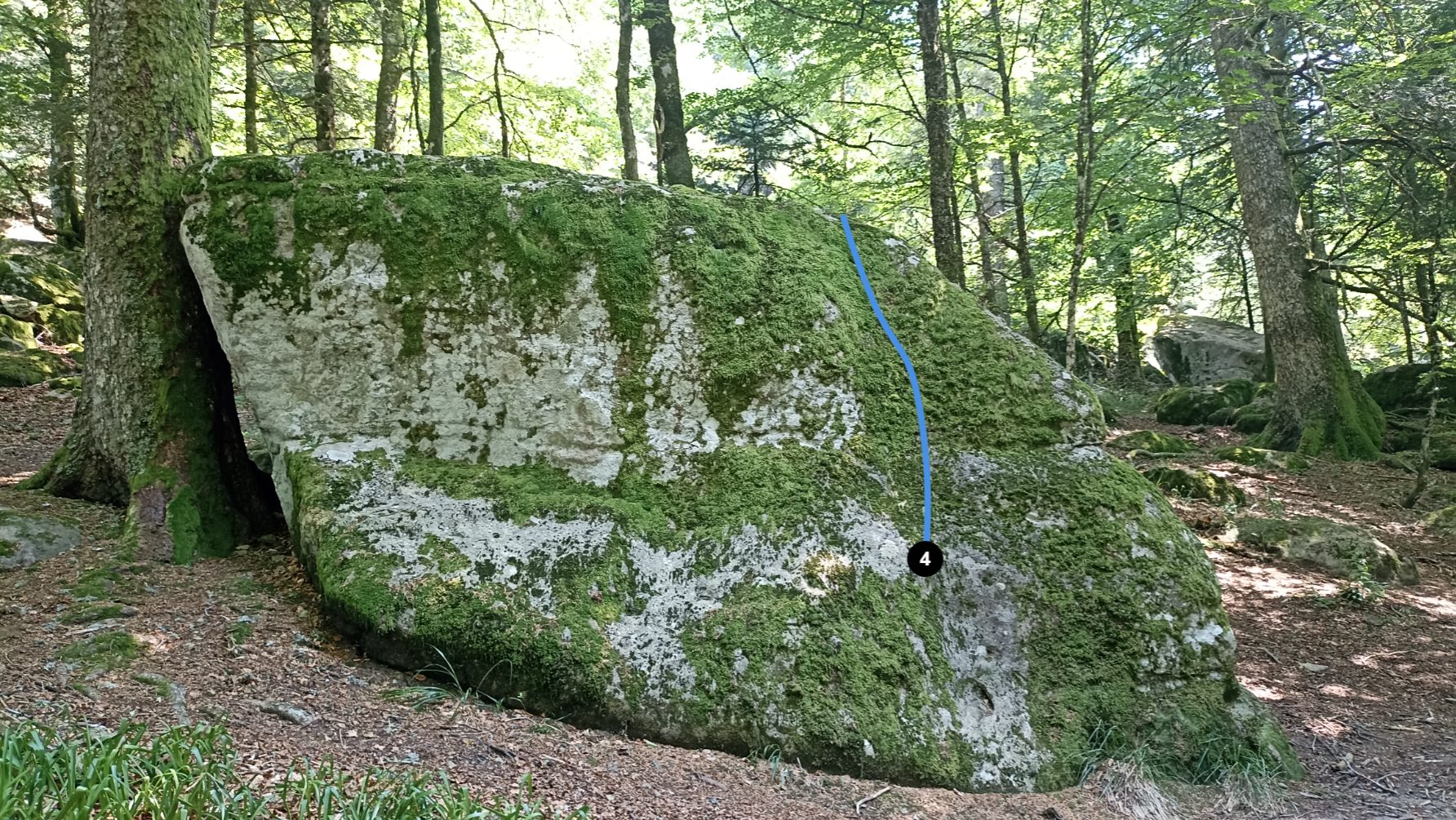 Photo de la voie