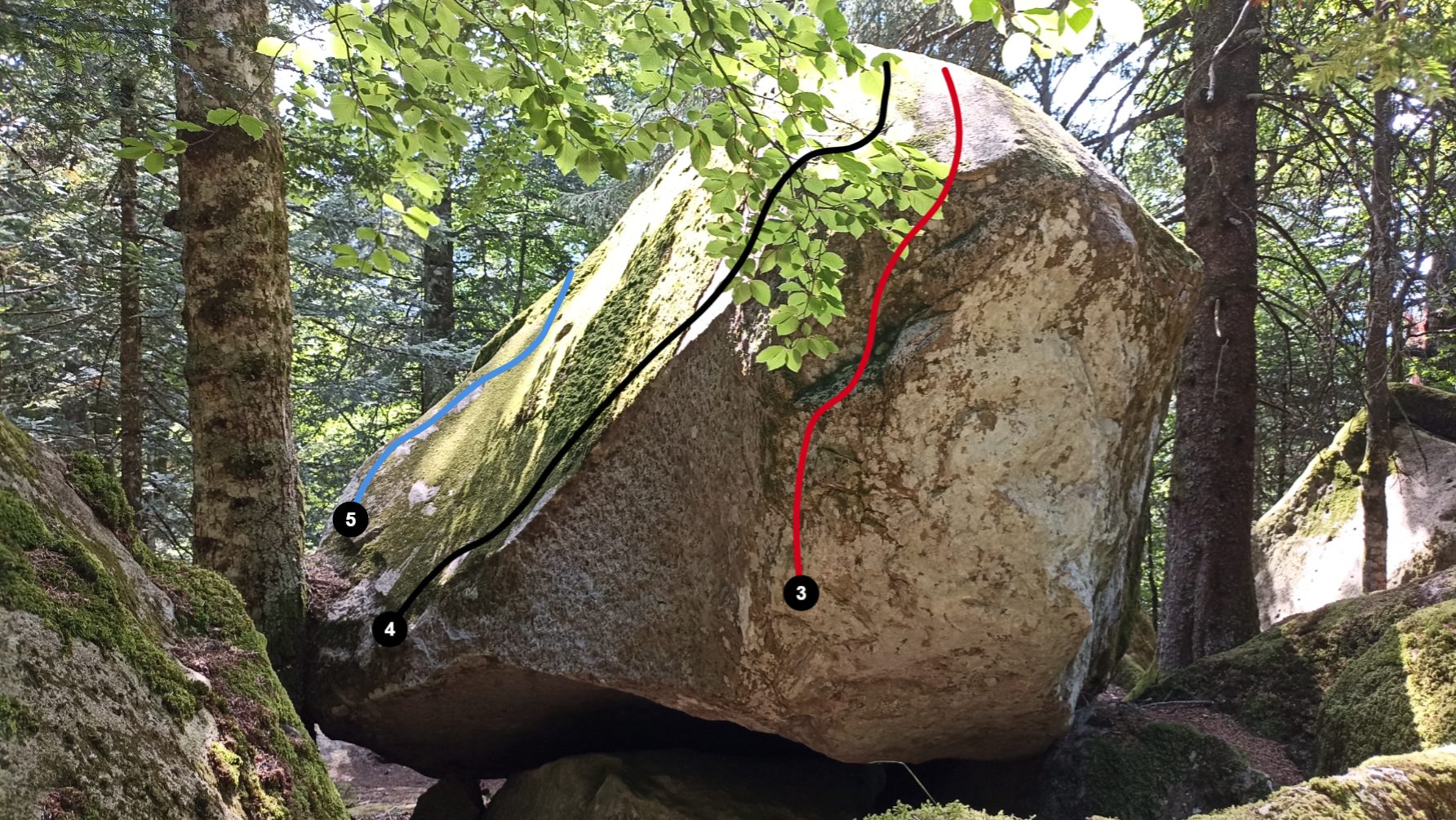 Photo de la voie