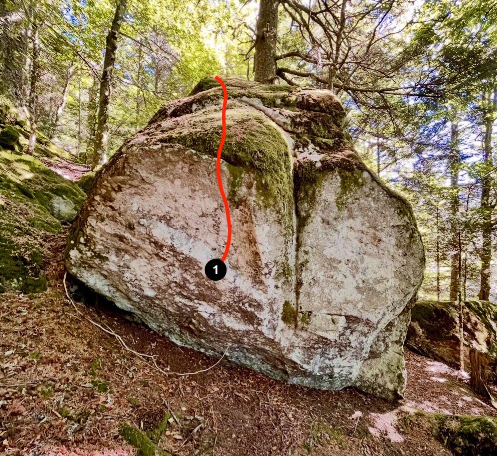 Photo de la voie