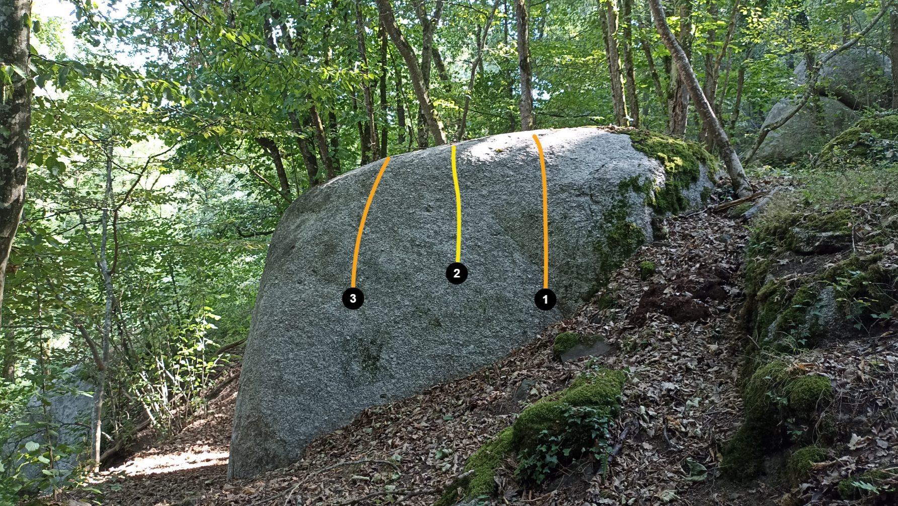 Photo de la voie