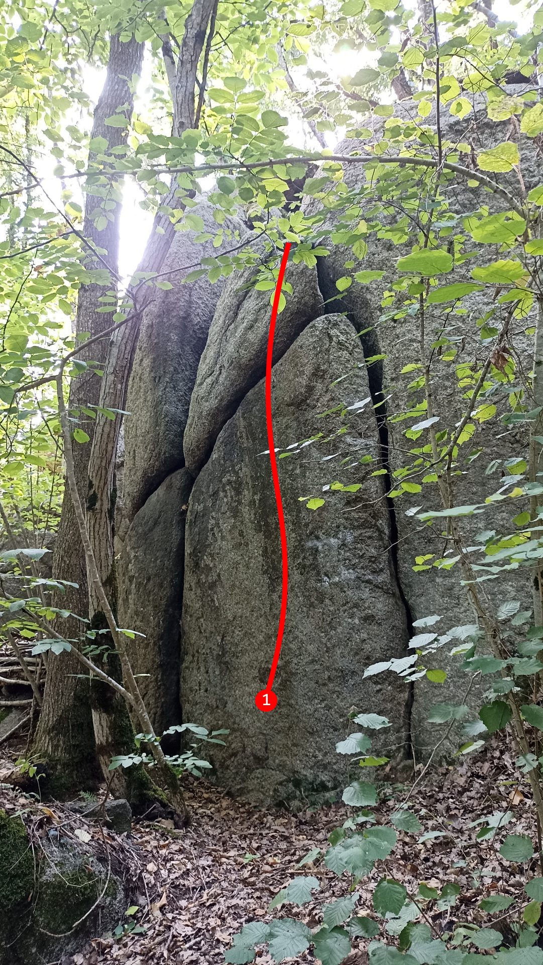 Photo de la voie