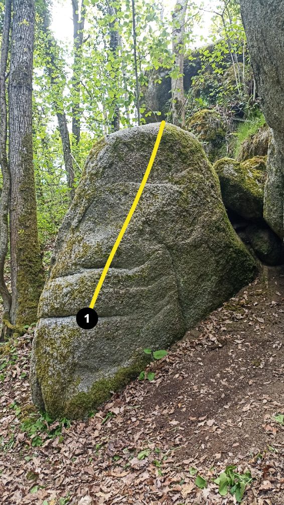 Photo de la voie