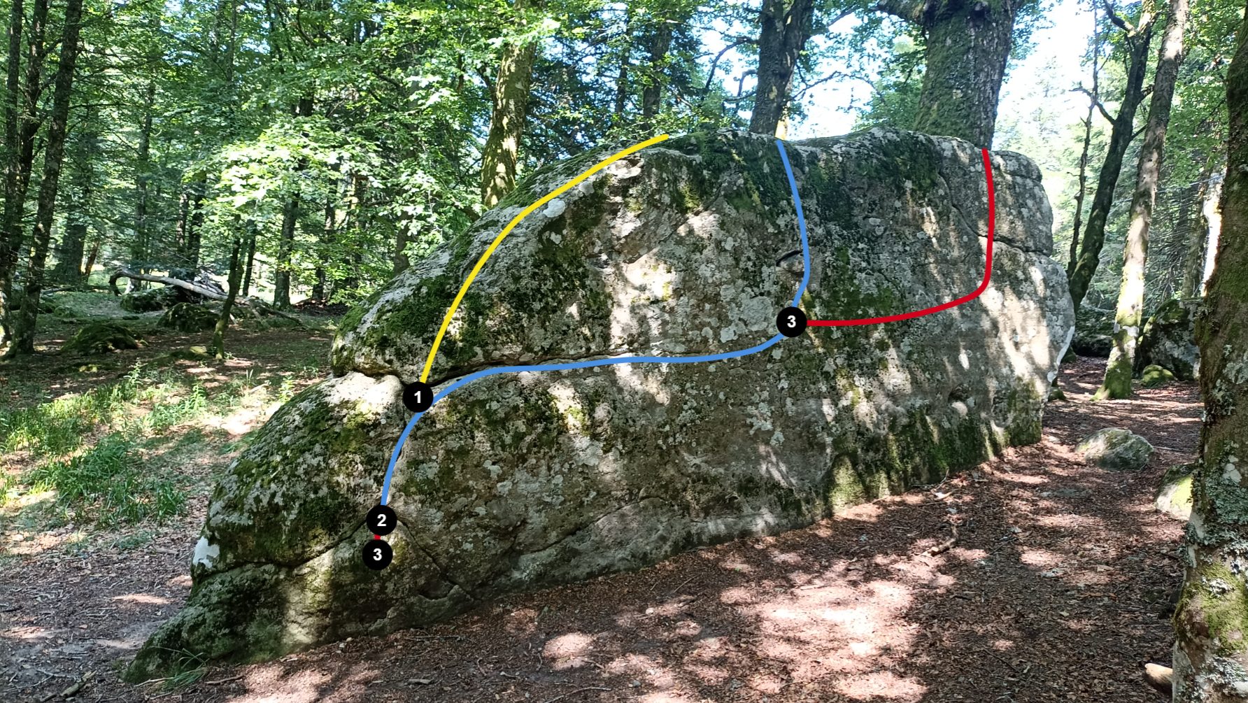 Photo de la voie