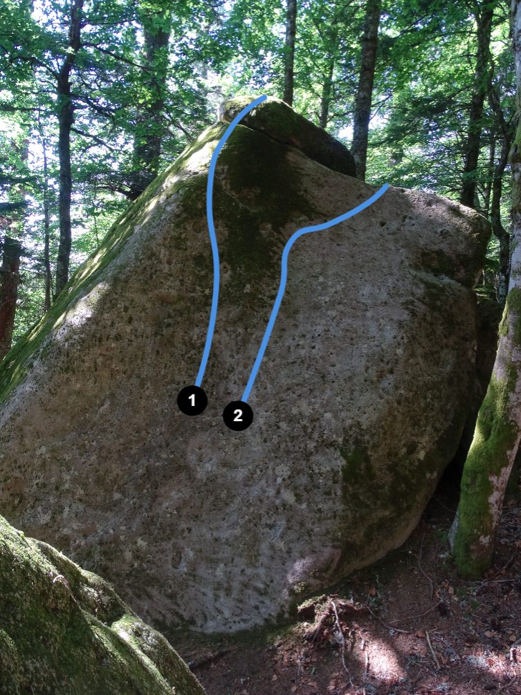 Photo de la voie