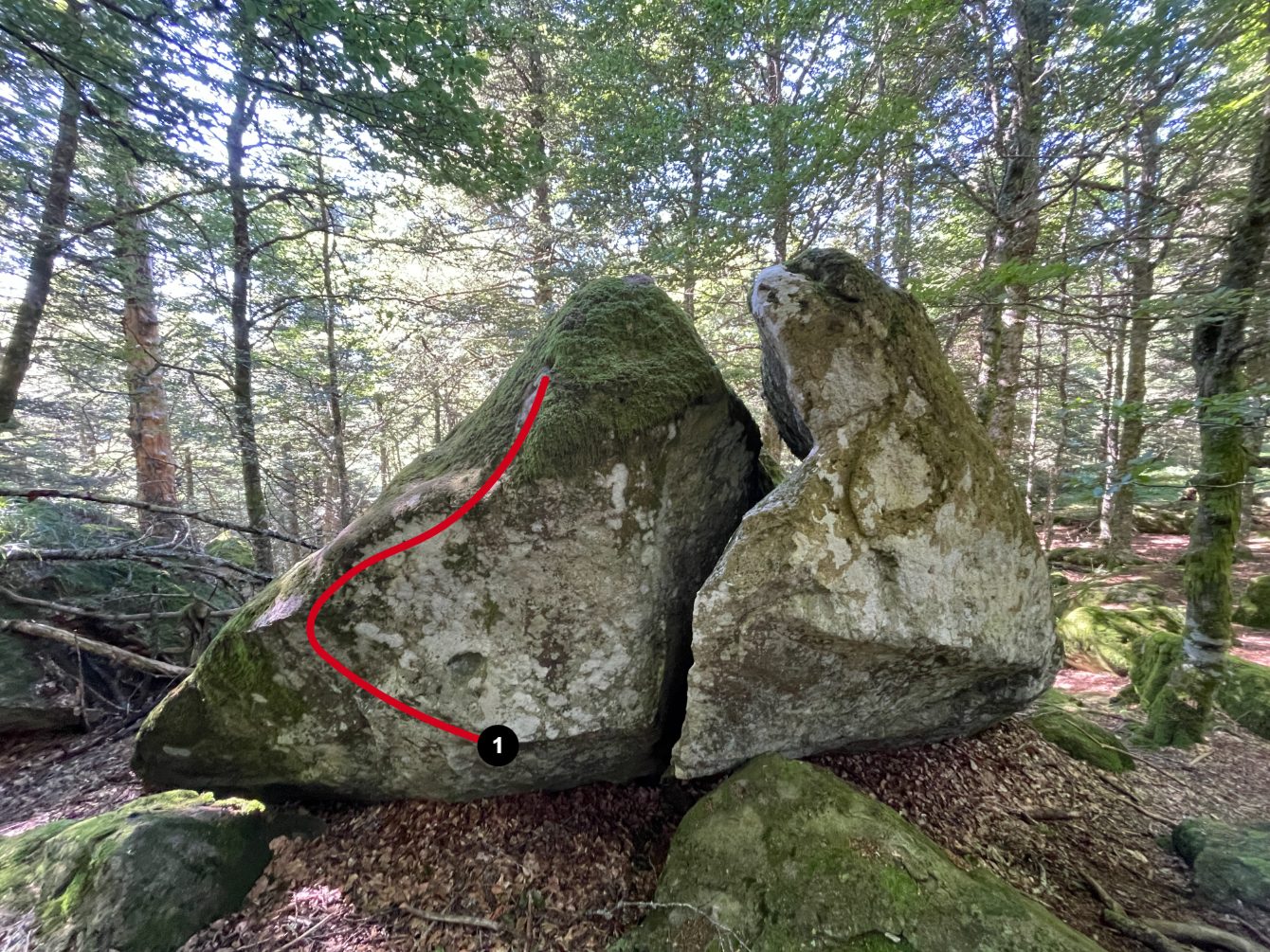 Photo de la voie