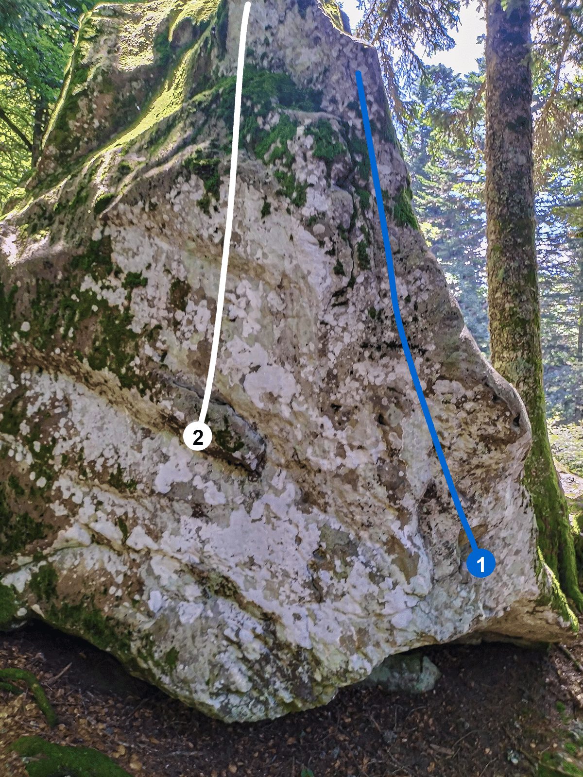 Photo de la voie