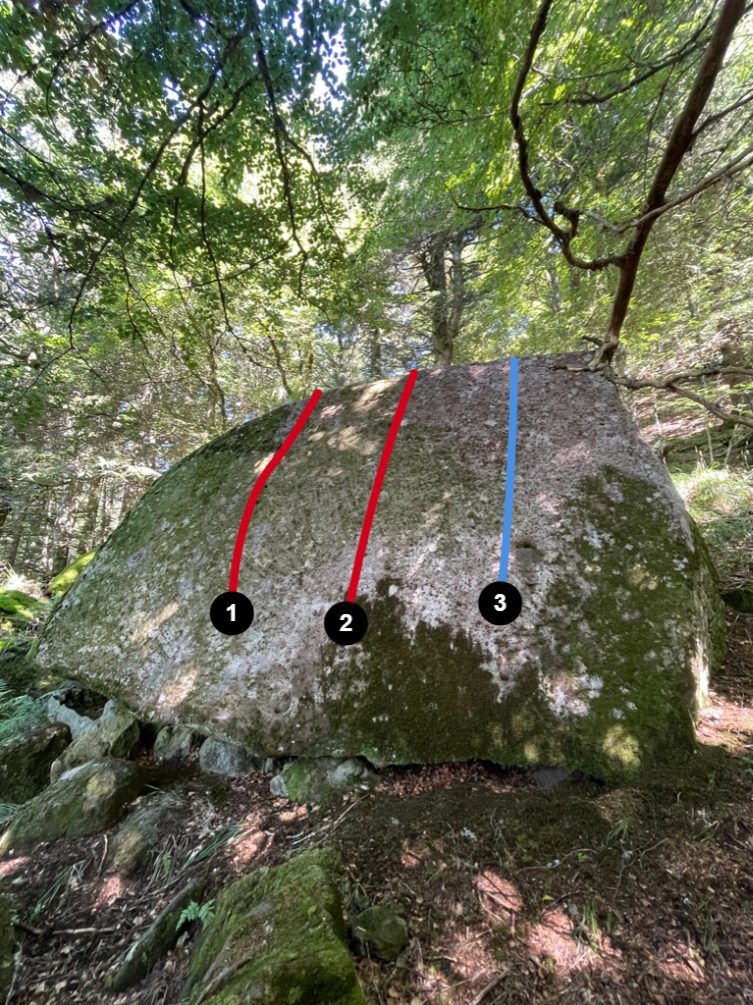 Photo de la voie