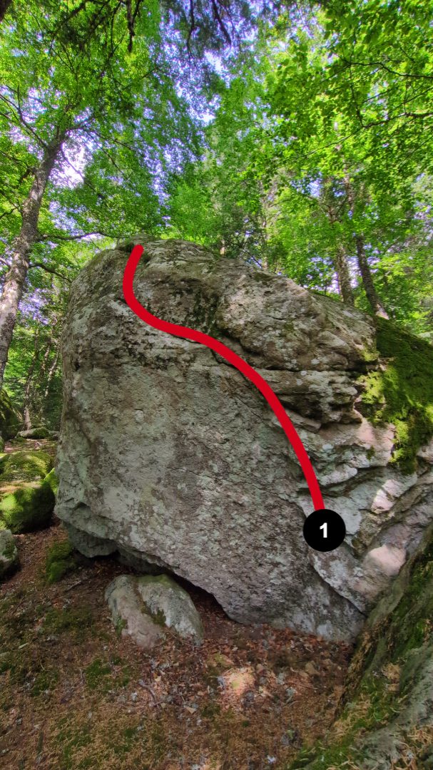 Photo de la voie